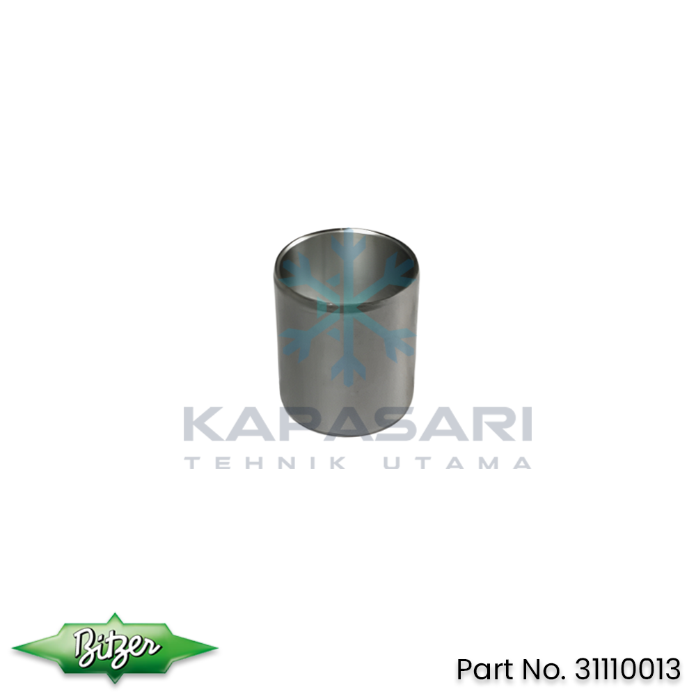 Bitzer Bearing Bush (31110013)