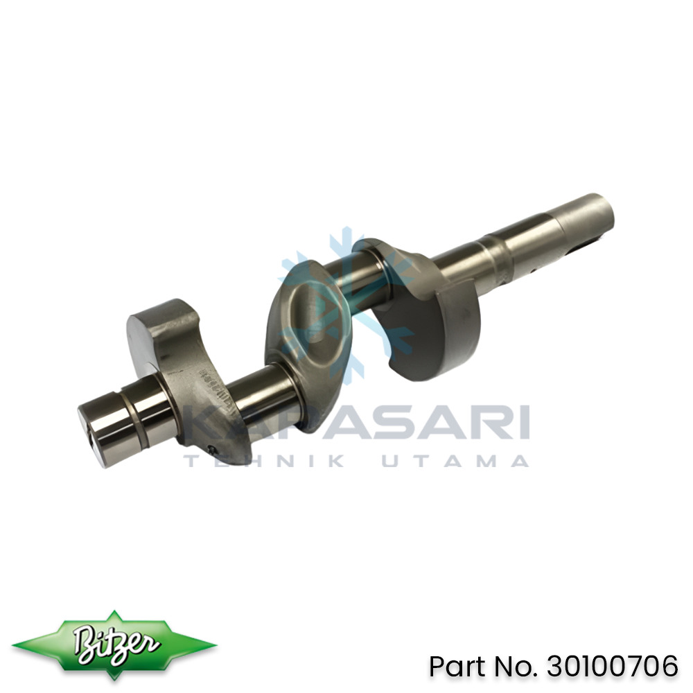 Bitzer Crankshaft (30100706)