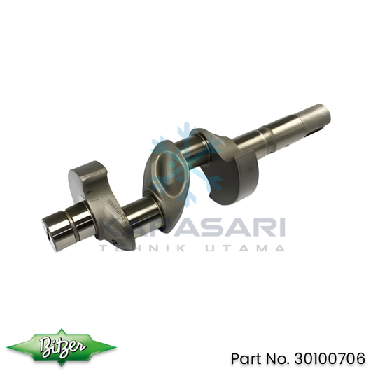 Bitzer Crankshaft (30100706)