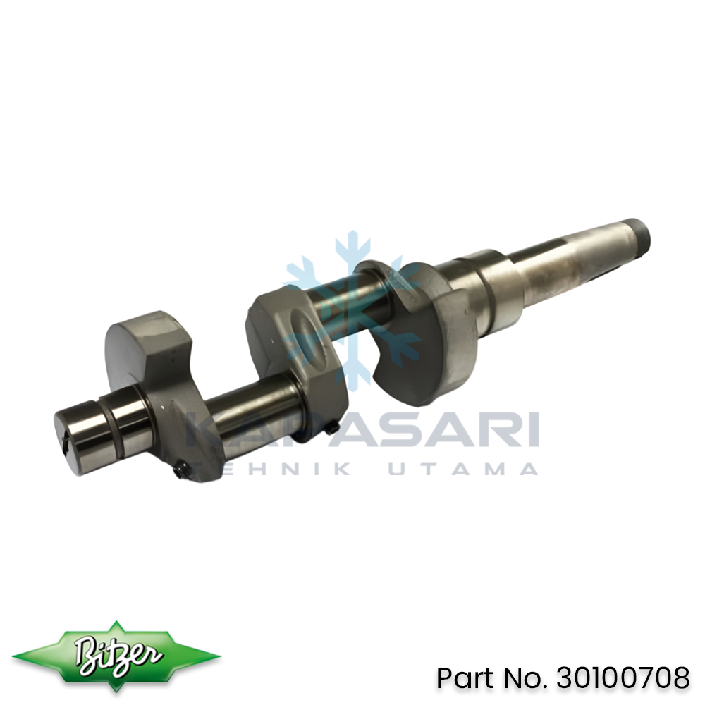 Bitzer Crankshaft (30100708)