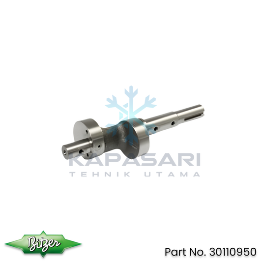 Bitzer Eccentric Shaft (30110950)