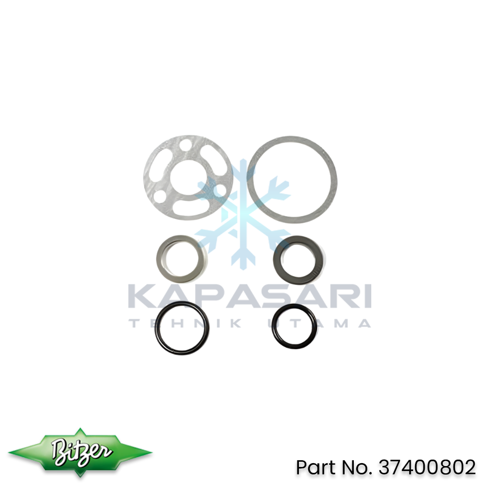 Bitzer Shaft Seal (37400802)