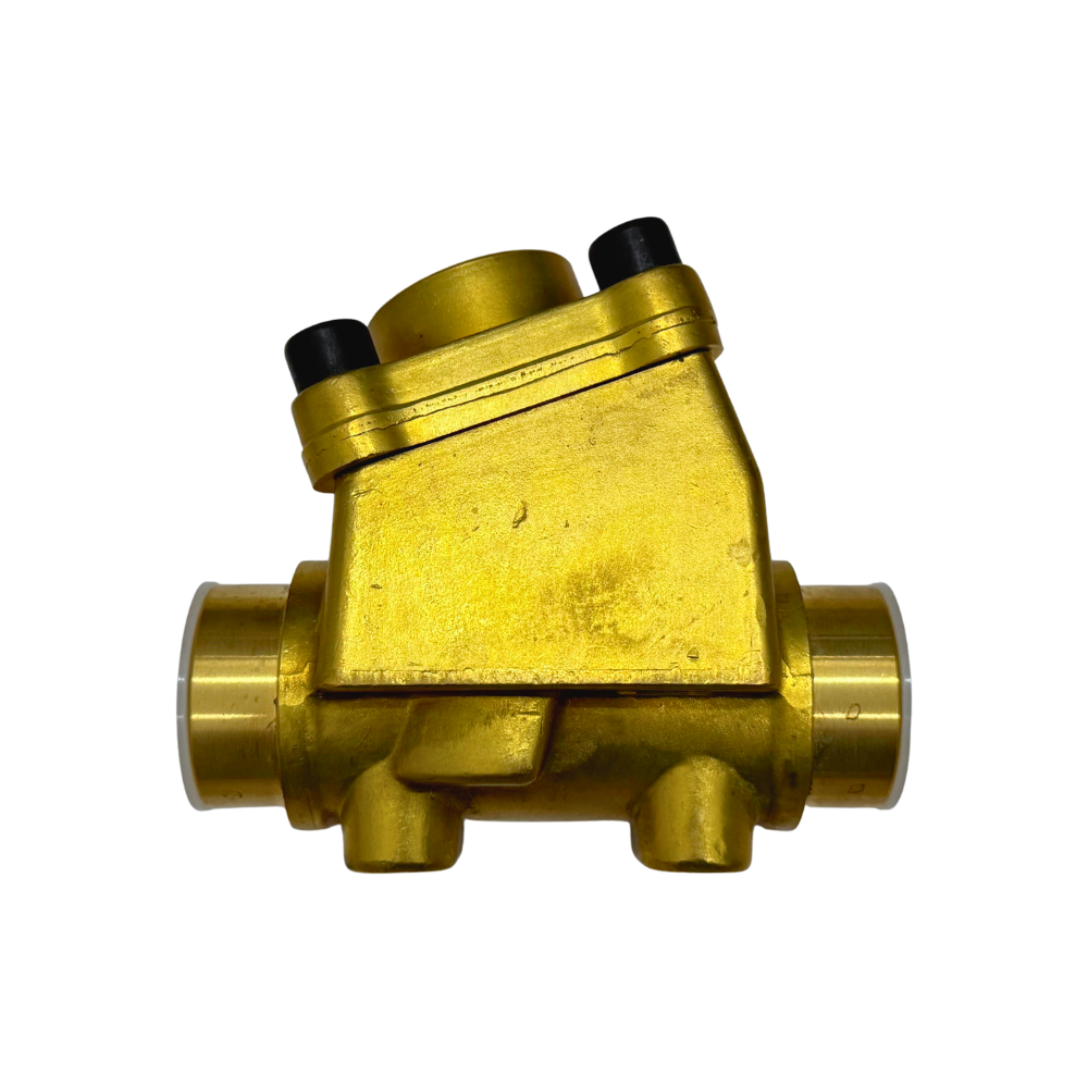 Check Valve - Taiwan