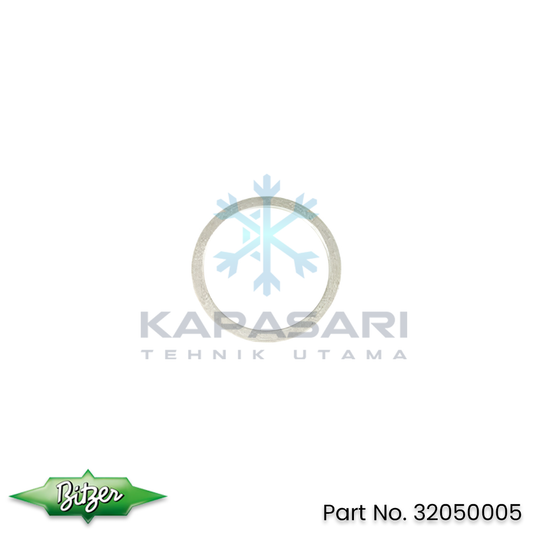 Bitzer Thrust Washer (32050005)